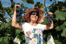 �����ѿ�������