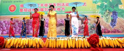 ������Ϊ��Զ���׽�ũ����ս�����