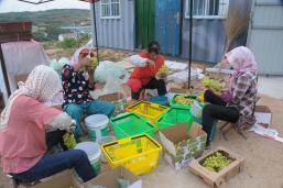 �ջ�������޼�װ��