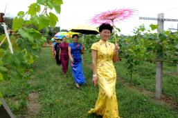 ����԰��չ����