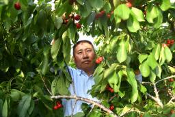 ӣ������