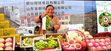 �볢�����������õ��