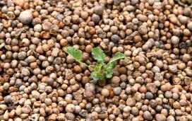 �������༼��