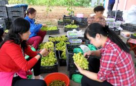 ���Ѳ�ժ����޼�װ��