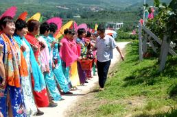 �볢һ�����Ϻ���������