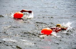 ��Ӿ����