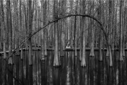 ���ݵ�����