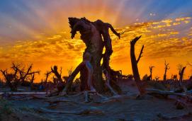 ��ͷһ����ǧ��