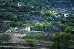 ���������硷