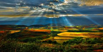 ����������