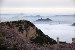 ��̩ɽ�����ƺ���