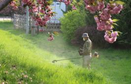 �����ʹ��