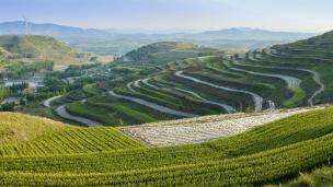 ̫ƽɽ��÷��