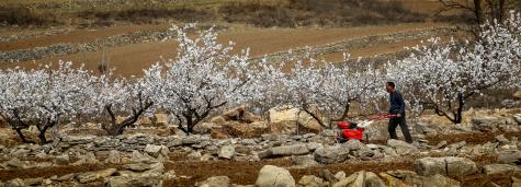 ��ɽ��Ĵ���