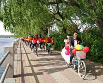 ������Ӽ�