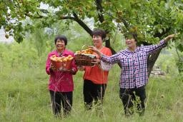 �ӣ��ң�������