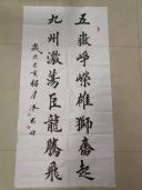 鷨