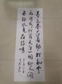 鷨
