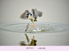 ʧ