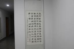 鷨