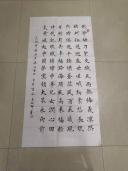 鷨