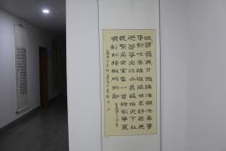 鷨