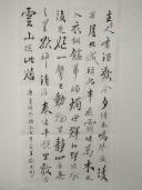鷨
