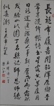 鷨