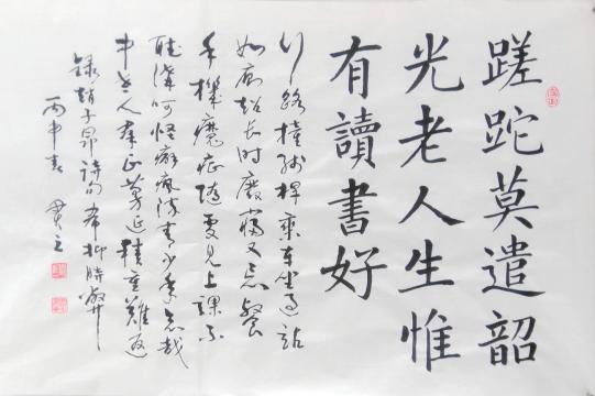   \ʫ