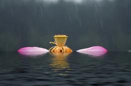 ˮܽء