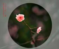 ӯ