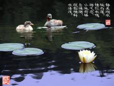 ҰѼ