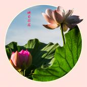 ֮