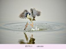   ʧ