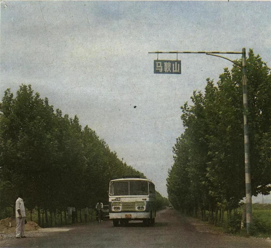 ӿɳ·ͨٹ·