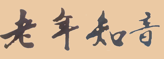 ϸɲ֮