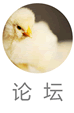��̳