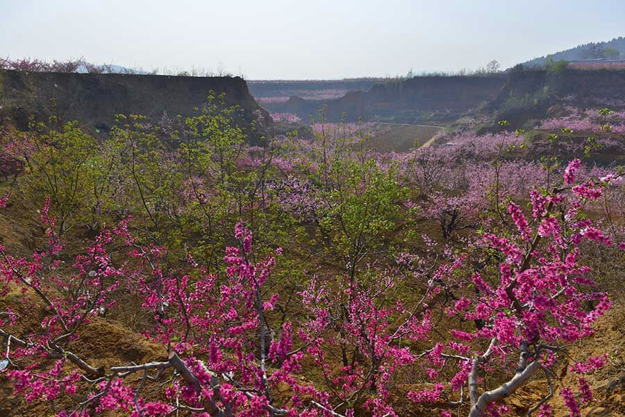 QQͼƬ20140406081446.jpg