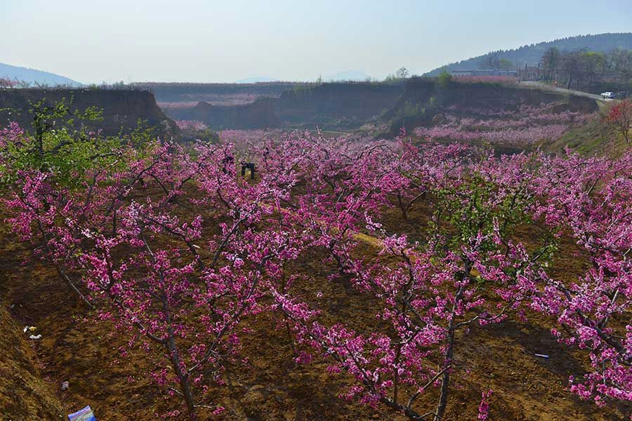QQͼƬ20140406081548.jpg