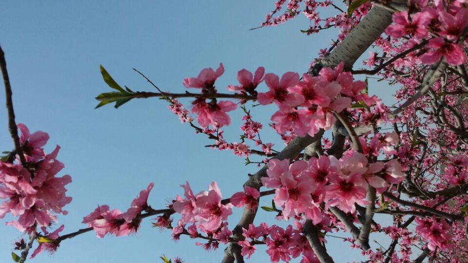 QQͼƬ20140406081751.jpg