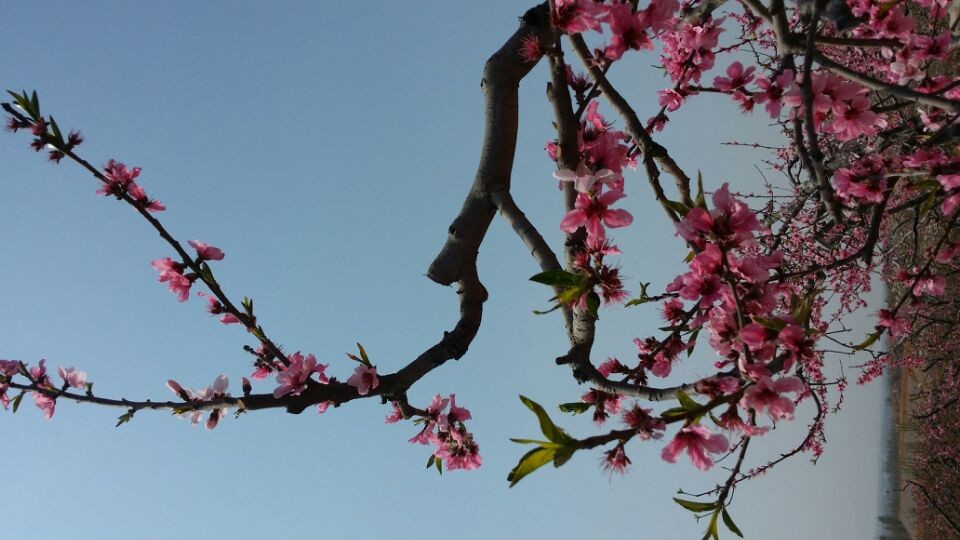 QQͼƬ20140406081757.jpg