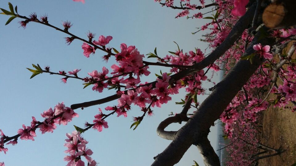 QQͼƬ20140406081803.jpg