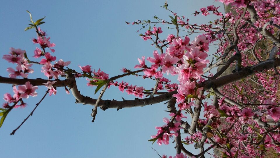 QQͼƬ20140406081817.jpg