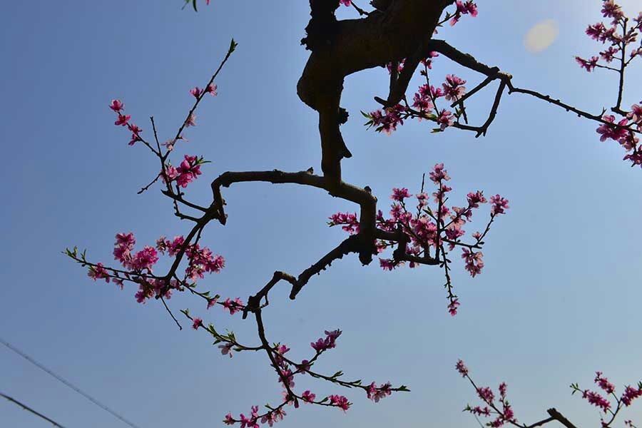 QQͼƬ20140406081841.jpg