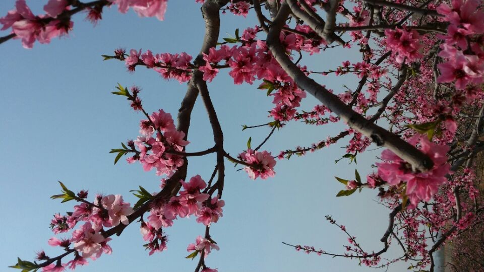 QQͼƬ20140406081832.jpg