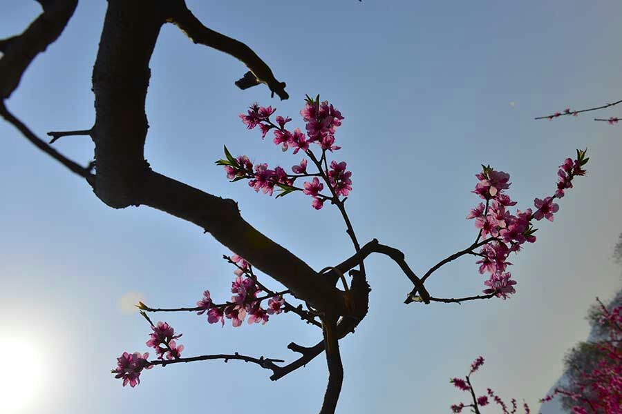 QQͼƬ20140406081853.jpg