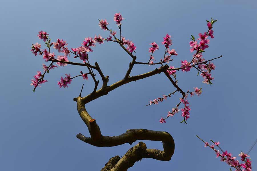 QQͼƬ20140406081857.jpg
