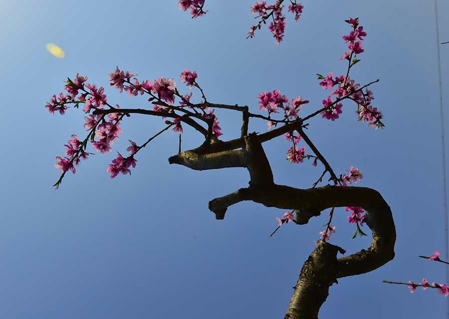 QQͼƬ20140406081847.jpg