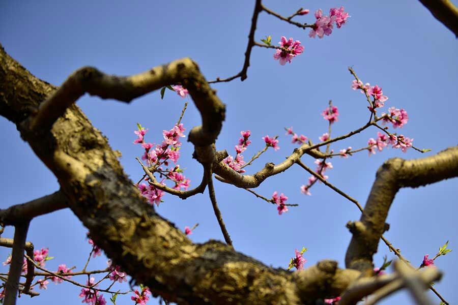 QQͼƬ20140406081901.jpg