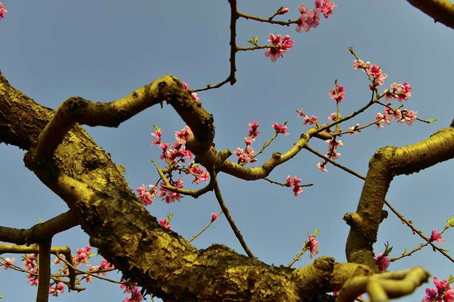 QQͼƬ20140406081914.jpg